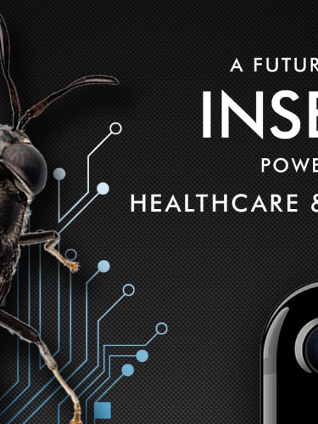 Insectta raises S$1.4 million investment to scale its biomaterial extraction from insects