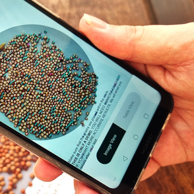 Indian Agriculture Embraces AI for Grain Quality Analysis